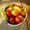 Harvest Tomatoes 