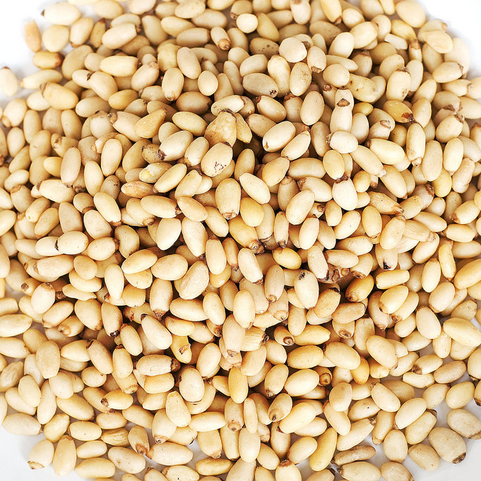 Pine Nuts 